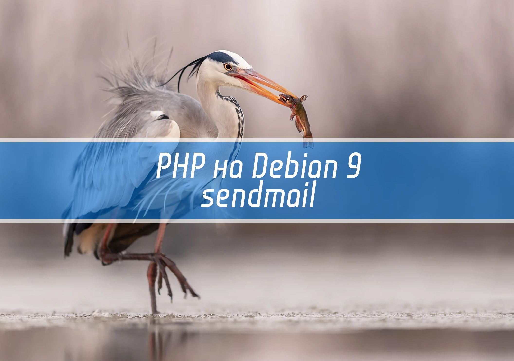 PHP 8.0 на Debian 10 +sendmail